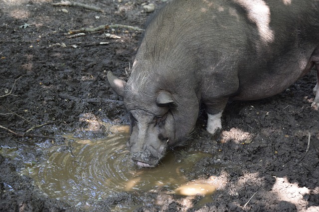戴伟浚手术 戴伟浚手术