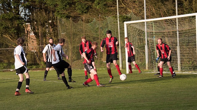 最后一根稻 最后一根稻