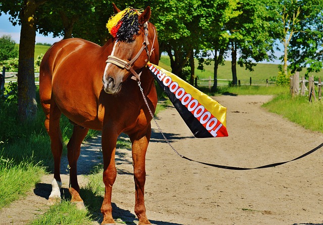 擅长快节奏 擅长快节奏