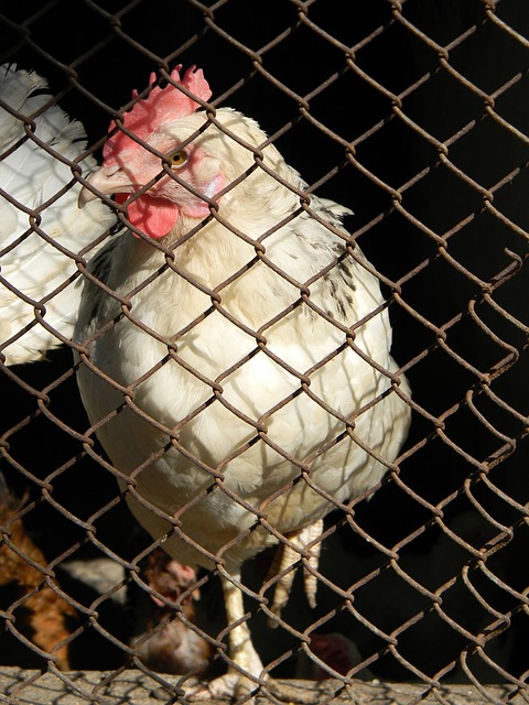 过程中的 过程中的